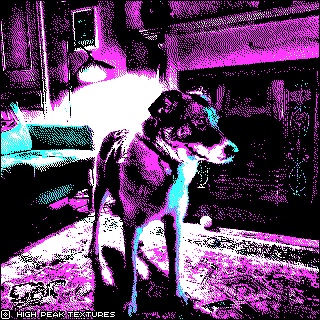 pixel art of dog