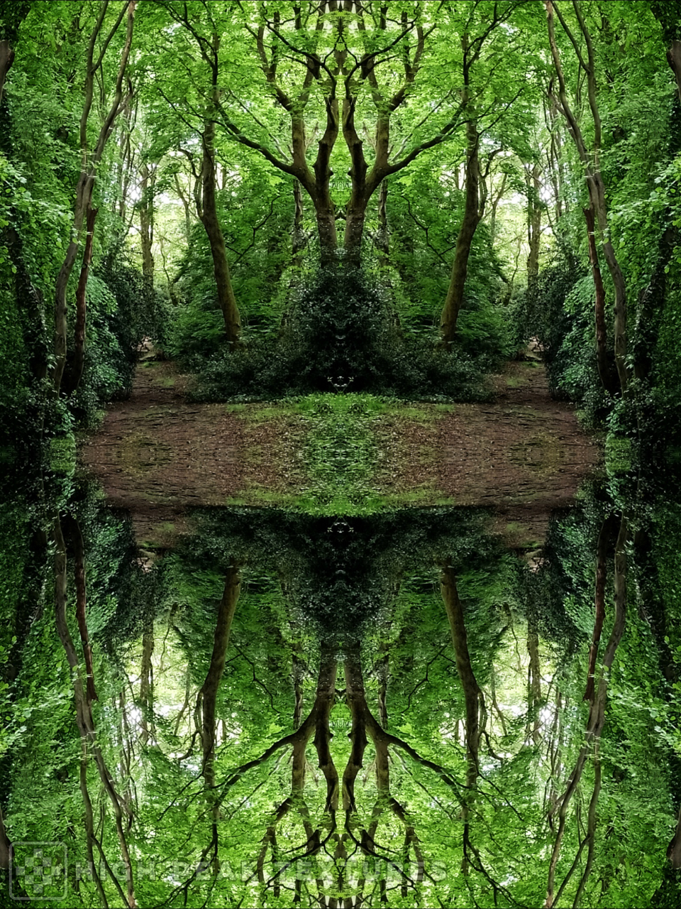 image 02