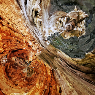 abstract wooden orb
