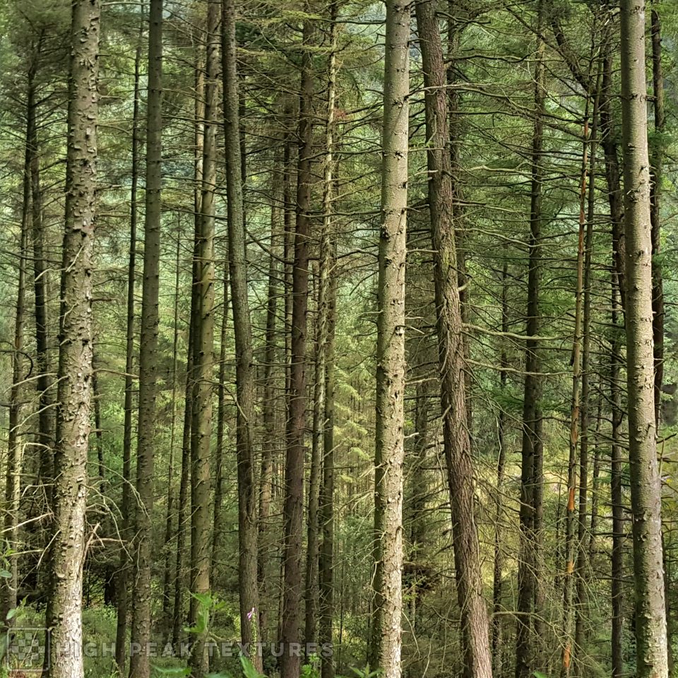image 08